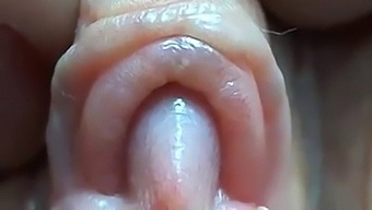 Intense Closeup Of Nektriaaslam'S Pussy Lips